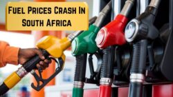 South Africa’s Fuel Prices Plummet: R2.75/L Reduction Starting 4 October